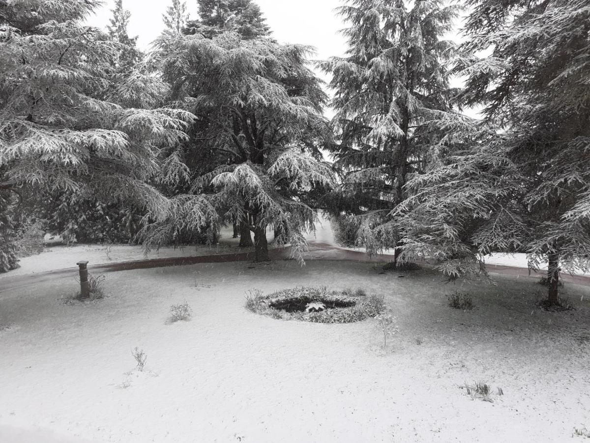 Bed and Breakfast Manoir De Camblain Exterior foto